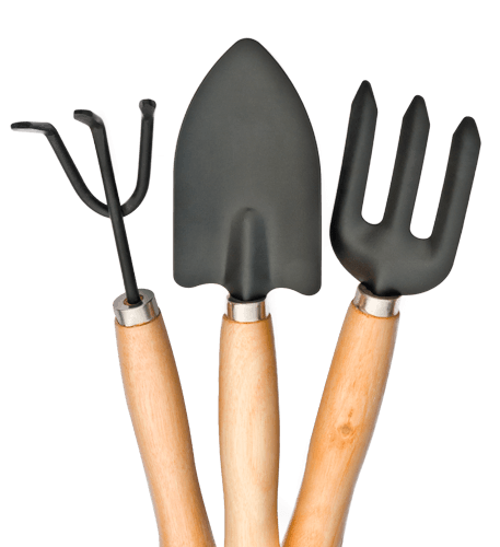 Une équipe expérimenté et efficace