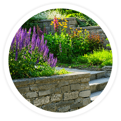 Entretien de sol et gazon